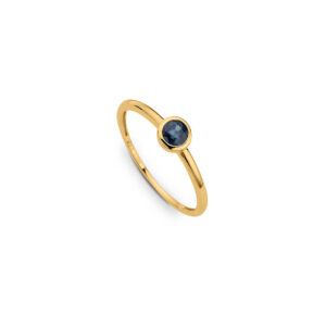 CEM Ring Gelbgold 585